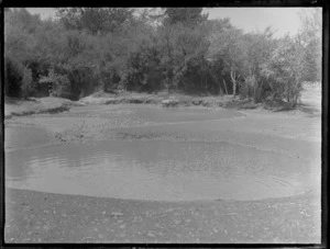 Mud pools, Rotorua, Bay of Plenty Region