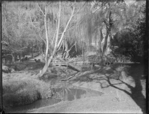Wooden bridge over a stream, Woodhaugh Gardens, Dunedin, Otago Region