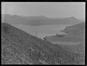 Crail Bay, Pelorus Sound, with a hill denuded of trees in foreground