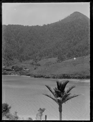 Crail Bay, Pelorus Sound, showing houses on far side of inlet