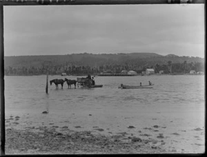 A horse-drawn cart loading or unloading cargo from a punt in the shallows of a bay, location unidentified
