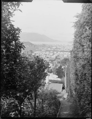 A garden path, leading down a hill, [Royal Terrace, Kew, Dunedin?], with a view of houses and Otago Harbour