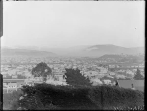 View from Royal Terrace, Kew, Dunedin, Otago Region, showing houses and hills beyond