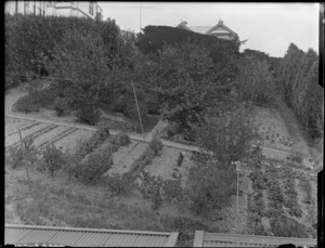 Vegetable garden and orchard at Royal Terrace, Kew, Dunedin