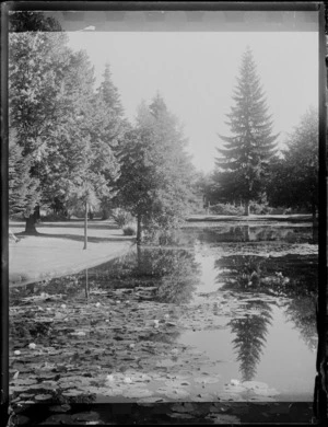 Large pond in park, possibly Oamaru Public Gardens, Oamaru