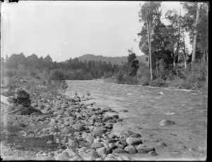 River near Kakahi, Manawatu-Whanganui region