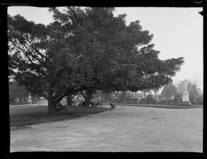 Garden area, including trees, scrubs, park benches and statue, Albert Park, Auckland