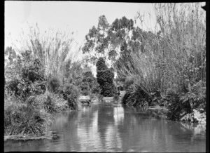 Pond, including trees and foliage, garden area, unknown location