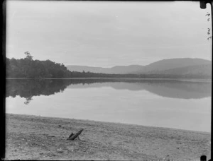 View of [Catlin's Lake?] with forest covered hills beyond, Catlins District, South Otago Region
