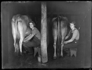 Portrait of two unidentified young women [sisters?] milking cows within an unknown barn location