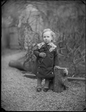 Portrait of a young Edgar Williams standing beside a log in the yard of the family house, 'View Bank', Maitland Street, Dunedin