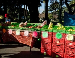 Apples stall at Napier market