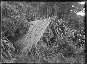 Bush shanty near Wekatahi.