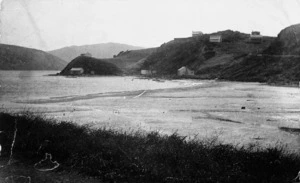 Ivey Bay and Shearers Point, Paremata