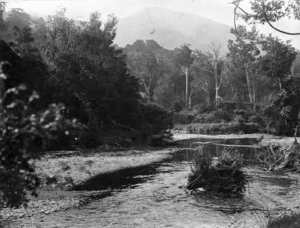 Stream/river in the vicinity of Para, Marlborough