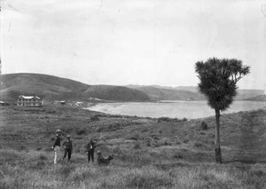 Denton, Frank J 1869-1963 (Photographer) : Plimmerton