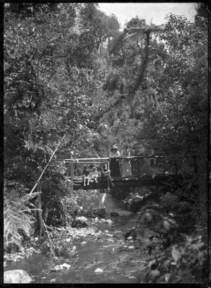 Native bush with a rustic bridge over the Korokoro Stream, and a group standing on and below the bridge.