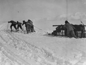 Men pulling a sled, Antarctica - Photograph taken by Robert Falcon Scott