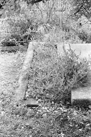 The grave of Robert Tinsley Sutton, plot 146.O, Sydney Street Cemetery.