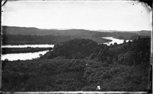 The Waikato near Whangamarino