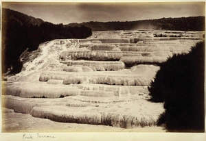 Pink Terraces on Lake Rotomahana - Photograph taken by George Dobson Valentine