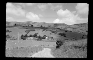 View of rural farmland, including woman on side of dirt road, hills, sheeps and farm house, Kaituna area, Banks Peninsula, Canterbury
