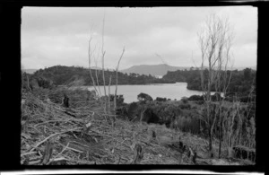 View of bush, trees, hills and waterway, Stewart Island, (Rakiura)