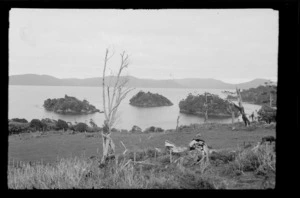 View looking out to bay from rural area, including three small islands and hills beyond, [Paterson Inlet], Stewart Island (Rakiura)