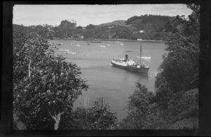 Passenger ferry arriving in Oban, including boats in the harbour and bush in the foreground, Stewart Island (Rakiura)