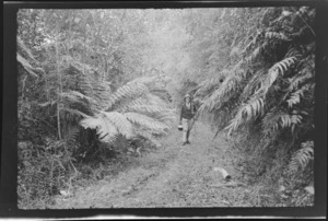 Alice Williams carrying walking stick and billy on a bush track, Stewart Island (Rakiura)