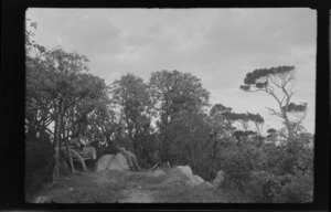 William Williams and Alice Williams resting by small trees and bush, Stewart Island (Rakiura)