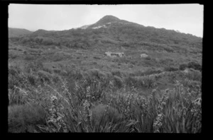 View across a field to a hut, including hill top, Stewart Island (Rakiura)