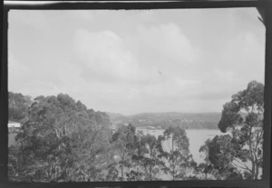 View from trees to wharf, Oban, Half Moon Bay, Stewart Island (Rakiura)