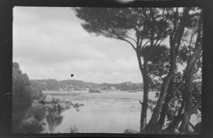 View looking towards harbour, including houses and hills in the background, Oban, Half Moon Bay, Stewart Island (Rakiura)