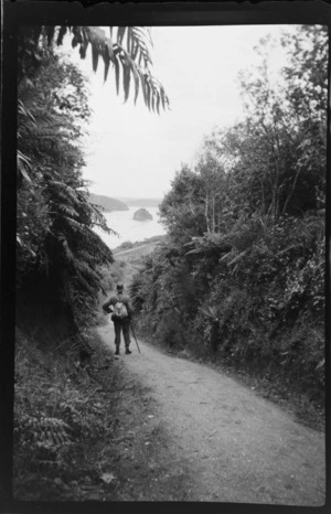 William Williams on a bush track, looking out to the bay, Stewart Island (Rakiura)