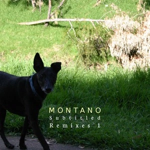 Subtitled remixes 1 [electronic resource] / Montano.