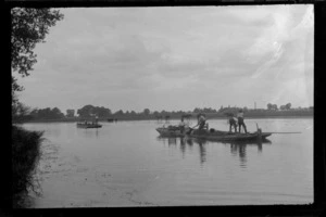 Two barges with men on the [Oxford?] canal system removing river weed, trees and horses beyond, [Oxfordshire?], England