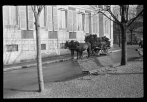 Street scene, twin donkey pulled wagon full of firewood in front of an apartment building with window shutters, Pau, South-west France
