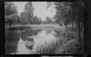 Landscape view of public garden park, including pond with water lilies, unknown location, London, England