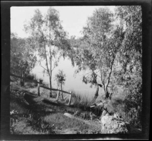 River bank, including trees and fence, unknown location, Australia