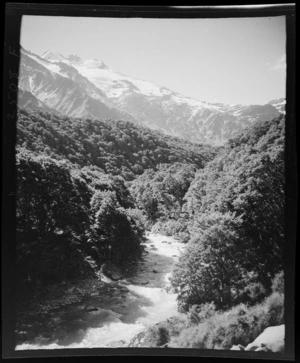 Bush and snow covered mountains, during Karangarua-Ohau trip, Westland