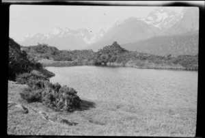A tarn on Key Summit surrounded by trees and unknown mountains, Routeburn Track, Fiordland National Park, Southland Region