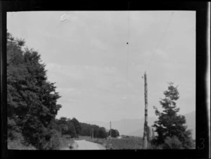 View of road, trees and power poles, including mountains in the distance, Makarora, Otago District