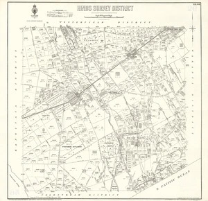 Hinds Survey District [electronic resource] / drawn by F.W. Flanagan, June 24th. 1884.