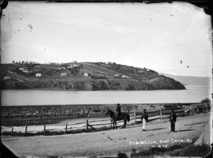View of Port Chalmers peninsula from Mussel Bay, in 1872.