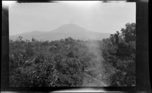 Active volcano [Mount Vesuvius] viewed from forested hill, Naples, Italy