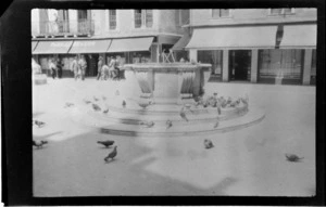 Pigeons clustered round base of circular fountain in square, including a store labelled 'Thos Cook & Son' in the background, Venice, Italy