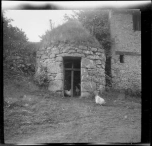 Stone chicken coop with grass roof including chickens inside and out, unknown location, England