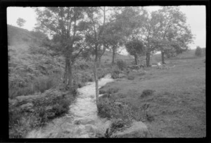 Little rocky stream, including trees at the edge, with water running down hill, Lake District, England, United Kingdom