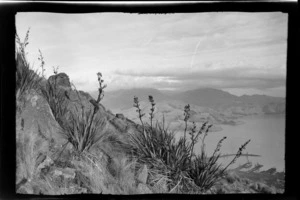 View from a large hill, showing rock formations and flax plants in the foreground, [Lyttelton?] harbour and wharves below, probably Canterbury region